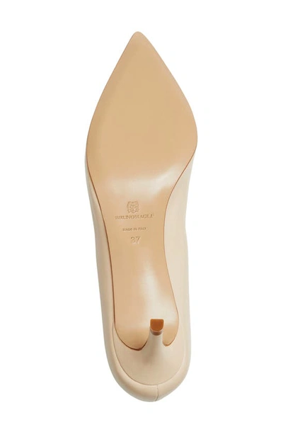 Shop Bruno Magli Tara Pointed Toe Pump In Sand