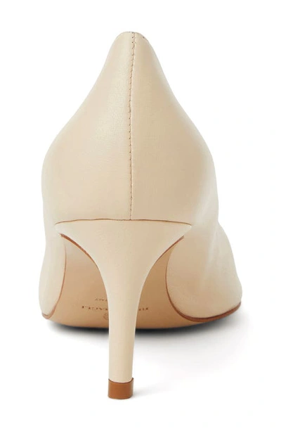 Shop Bruno Magli Tara Pointed Toe Pump In Sand