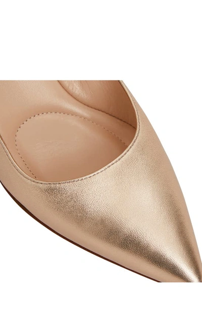 Bruno Magli Tara Pointed Toe Pump In Gold