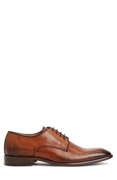 Shop Bruno Magli Salerno Derby In Cognac