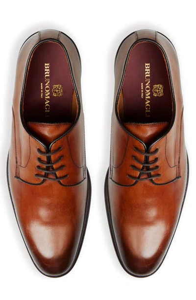 Shop Bruno Magli Salerno Derby In Cognac