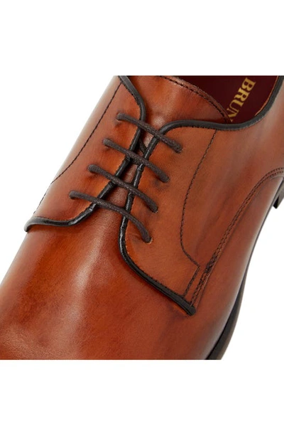 Shop Bruno Magli Salerno Derby In Cognac