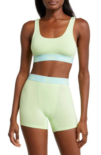 Ugg Alexiah Boy Shorts In Mint Chip