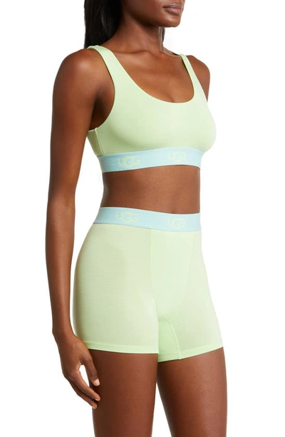 Ugg Alexiah Boy Shorts In Mint Chip