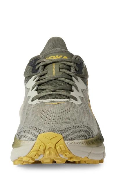 Shop Hoka Challenger 7 Running Shoe In Olive Haze / Forest Cover