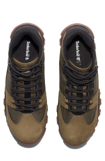 Timberland Mt. Maddsen Water Resistant Hiking Boot In Olive