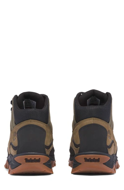 Timberland Mt. Maddsen Water Resistant Hiking Boot In Olive
