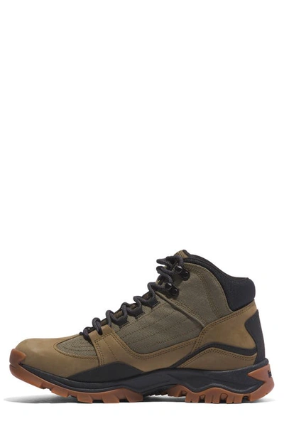 Shop Timberland Mt. Maddsen Water Resistant Hiking Boot In Olive
