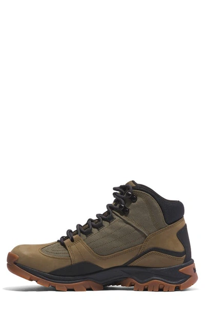 Timberland Mt. Maddsen Water Resistant Hiking Boot In Olive