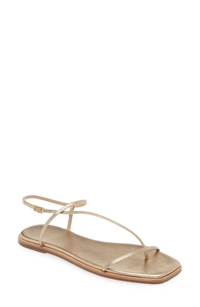 Shop Kaanas Alayta Ankle Strap Sandal In Gold