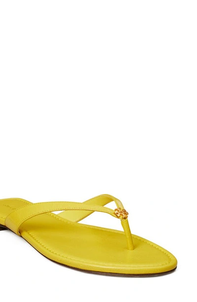 Shop Tory Burch Classic Flip Flop In Colza Yellow