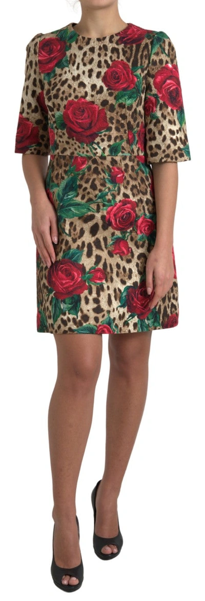 Shop Dolce & Gabbana Floral Leopard Print A-line Women's Dress In Brown