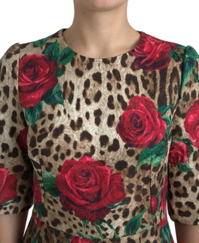 Shop Dolce & Gabbana Floral Leopard Print A-line Women's Dress In Brown