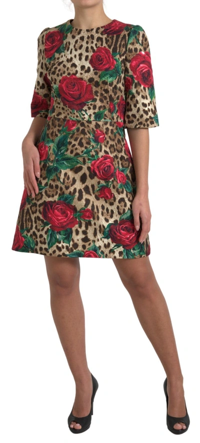 Shop Dolce & Gabbana Floral Leopard Print A-line Women's Dress In Brown