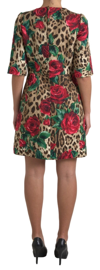 Shop Dolce & Gabbana Floral Leopard Print A-line Women's Dress In Brown