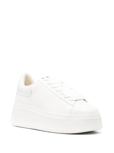 Shop Ash Sneakers In White