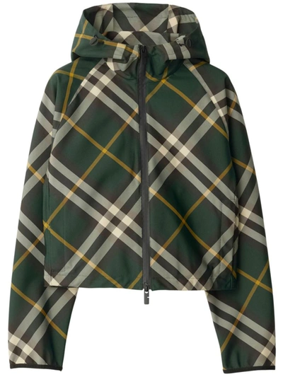 Shop Burberry Check Motif Hooded Jacket In Green