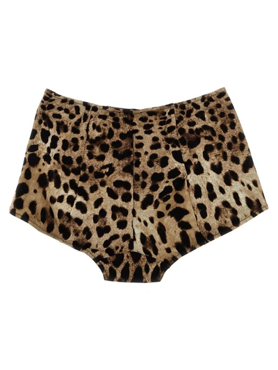 Shop Dolce & Gabbana 'leopard' Bikini Bottom In Multicolor