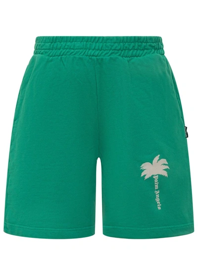 Shop Palm Angels Shorts The Palm In Green