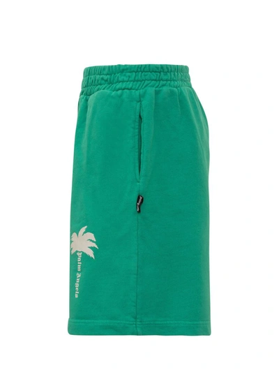 Shop Palm Angels Shorts The Palm In Green