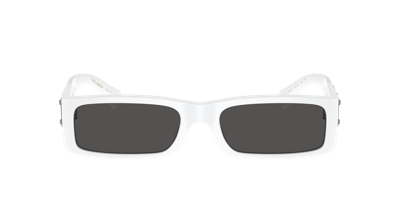 Dolce & Gabbana Re-edition Sunglasses In Dark Grey