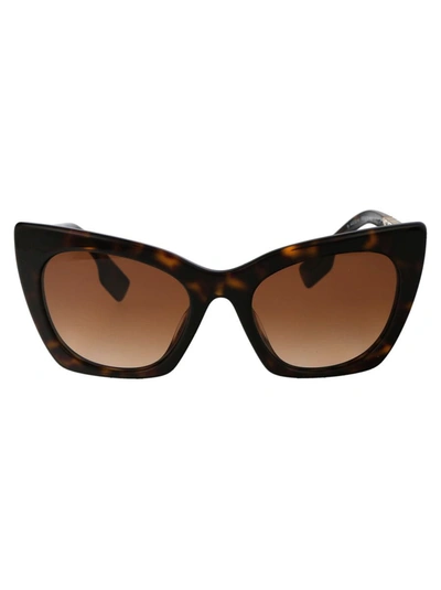 Shop Burberry Sunglasses In 300213 Dark Havana