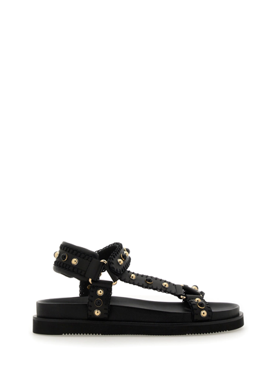 Shop Ash Leather Sandal In Nero