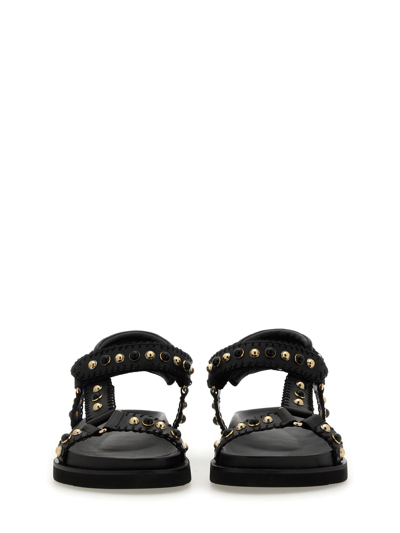 Shop Ash Leather Sandal In Nero