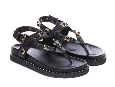 Shop Ash Uteca Sandals In Black
