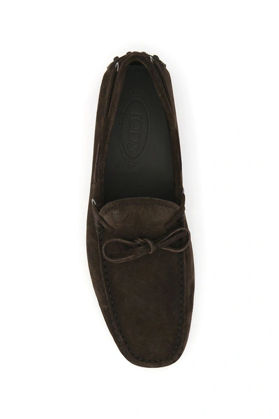Shop Tod's Flat Shoes In Marrone Scuro
