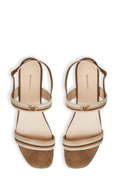 Shop Bruno Magli Portia Slingback Sandal In Brown/ Natural Suede