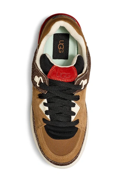 Shop Ugg Goldencush Sneaker In Chestnut / Black