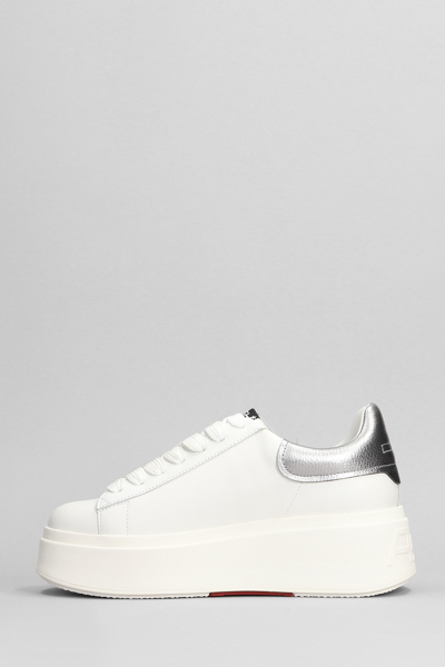 Shop Ash Moby Sneakers In White Leather