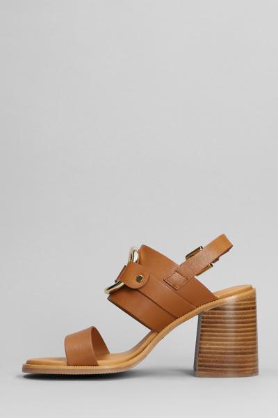 Shop See By Chloé Hana Sandals In Leather Color Leather