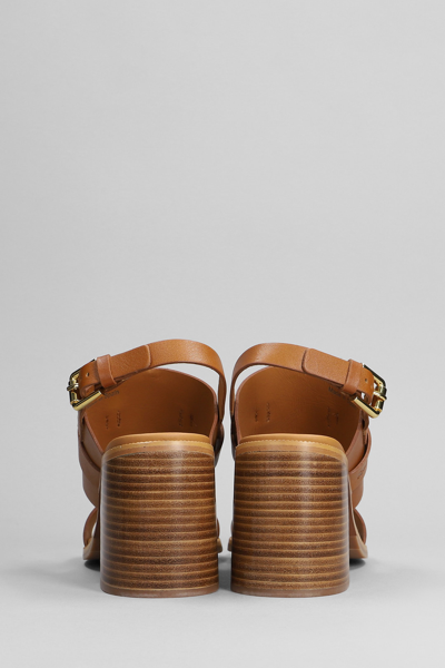 Shop See By Chloé Hana Sandals In Leather Color Leather