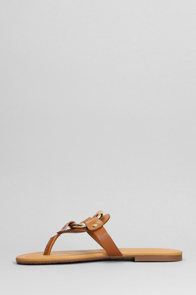 Shop See By Chloé Hana Flats In Leather Color Leather
