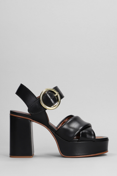Shop See By Chloé Lyna Sandals In Black Leather