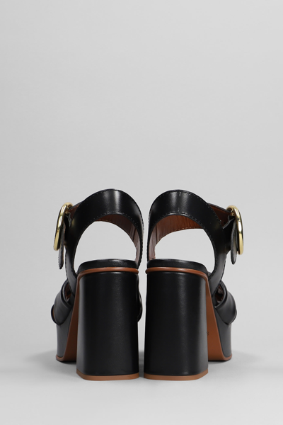 Shop See By Chloé Lyna Sandals In Black Leather