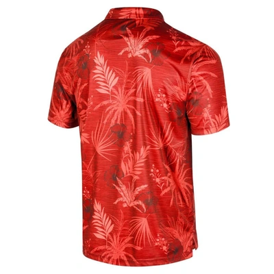 Shop Colosseum Red Louisville Cardinals Palms Team Polo