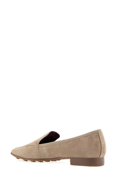 Shop Aerosoles Paynes Loafer In Trench Coat Suede