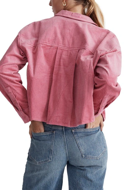 Shop Madewell Variegated Corduroy Button-up Shirt In Nouveau Pink