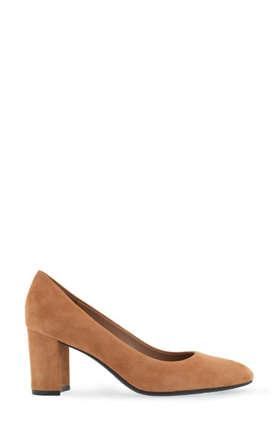 Aerosoles Betsy Pumps In Tan Suede