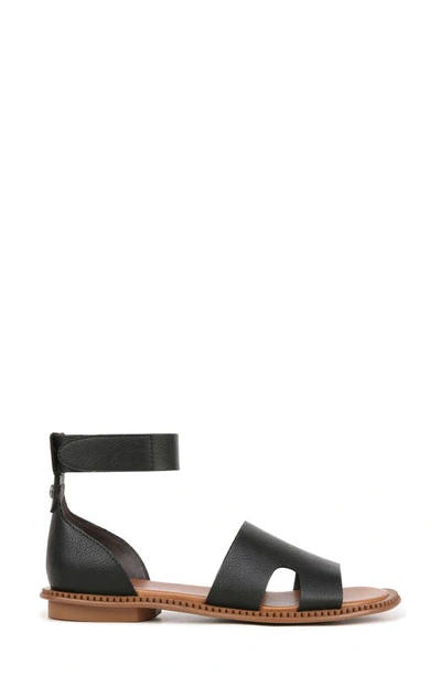Shop Zodiac Fran Ankle Strap Sandal In Black