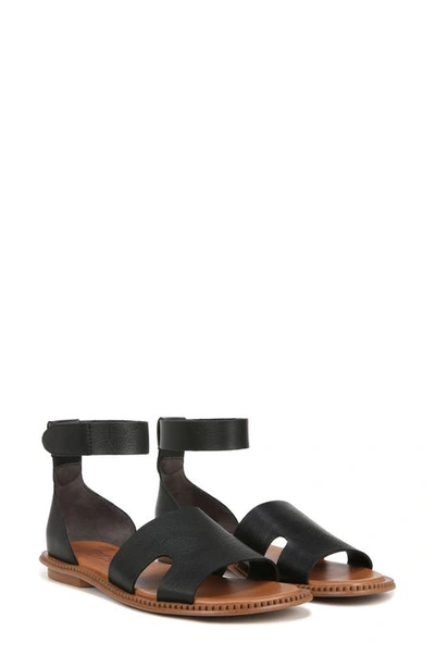 Shop Zodiac Fran Ankle Strap Sandal In Black