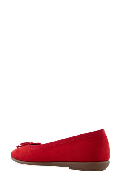 Shop Aerosoles Homebet Bow Flat In Racing Red Faux Suede