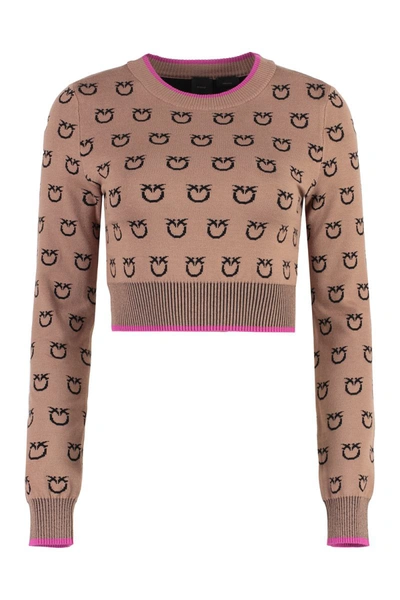 Shop Pinko Long Sleeve Crew-neck Sweater In Camel