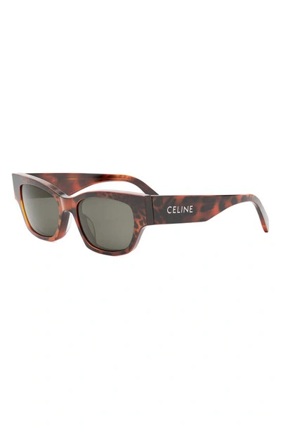 Shop Celine Monochroms 54mm Cat Eye Sunglasses In Animal / Smoke