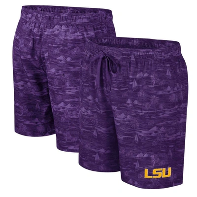 Shop Colosseum Purple Lsu Tigers Ozark Swim Shorts