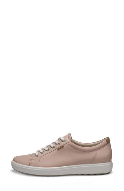 Shop Ecco Soft 7 Sneaker In Rose Dust