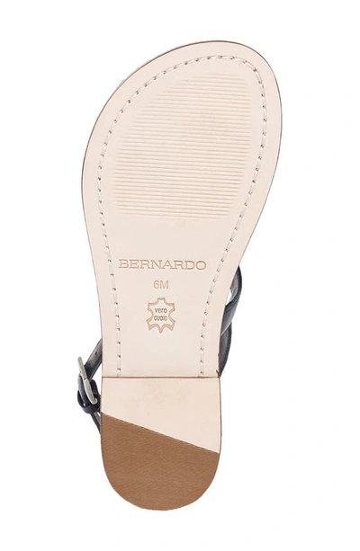Shop Bernardo Footwear Maverick 2 Toe Loop Sandal In Navy